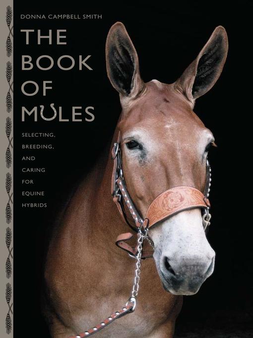 Title details for Book of Mules by Donna Campbell Smith - Available